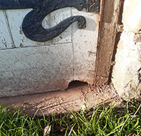 Rat Damage to a Door